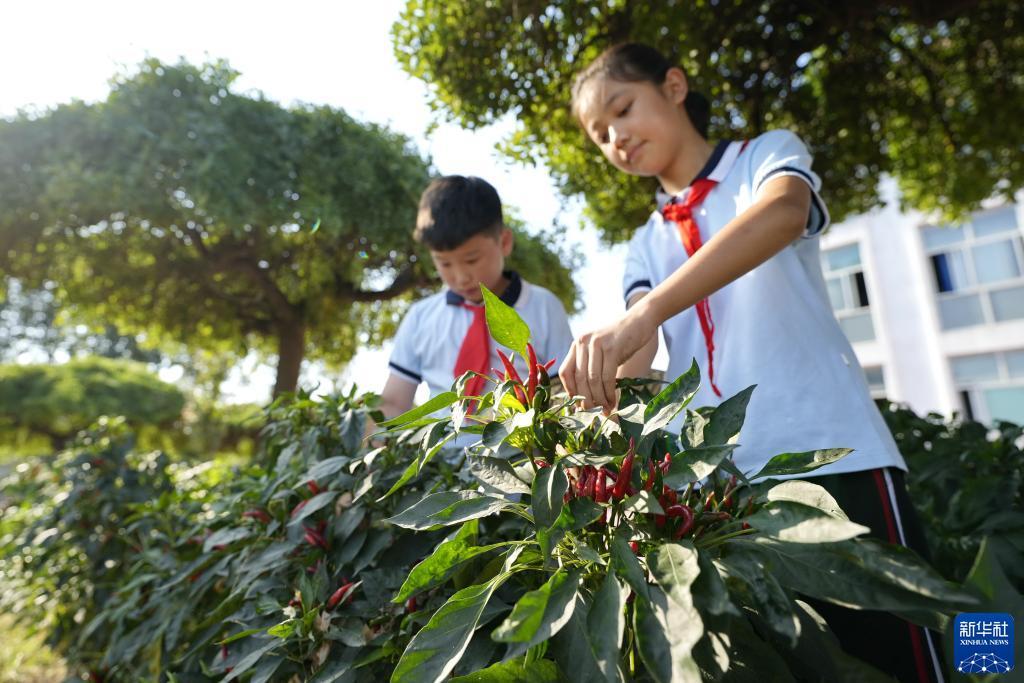 新葡萄京娱乐场手机版